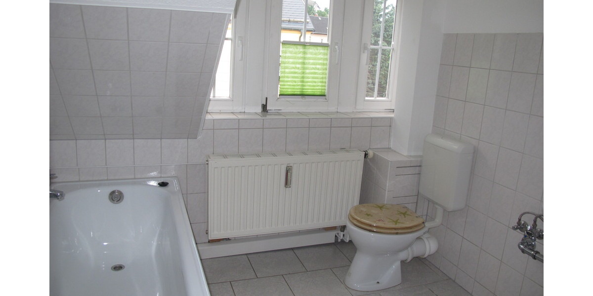 Alt Bau DG WC