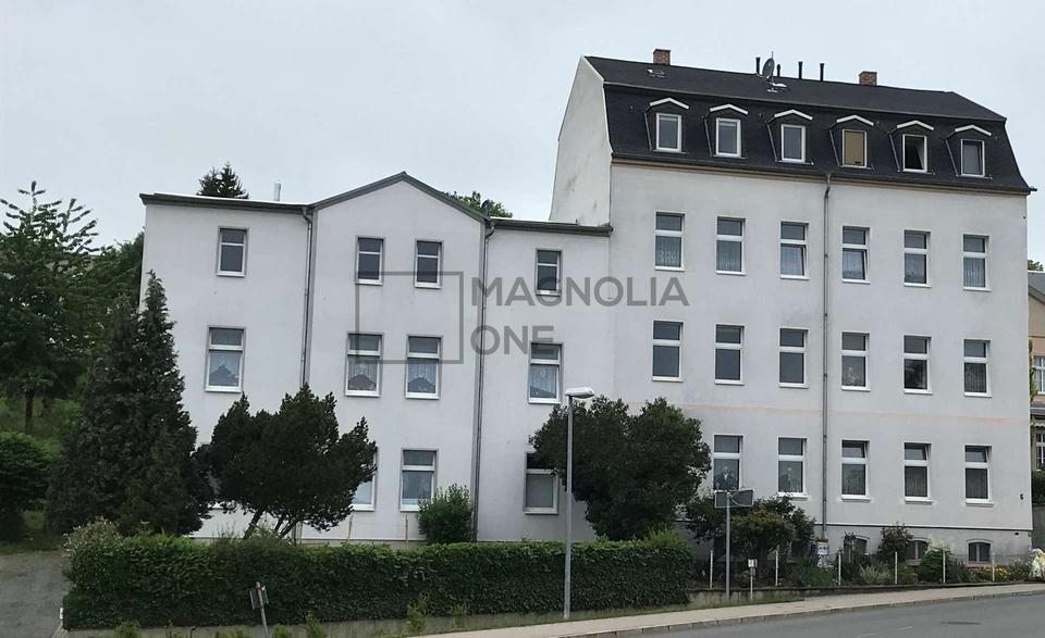 Etagenwohnung Gößnitz - 1 Zimmer, 54 m&sup2;, 336&euro; | Angebot:23876804