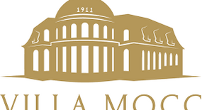 Villa Mocc Zwickau