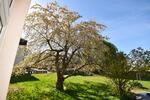 Etagenwohnung Zwickau Zwickau-Nord - 4 Zimmer, 103 m&sup2;, 610&euro; | Angebot:26578494