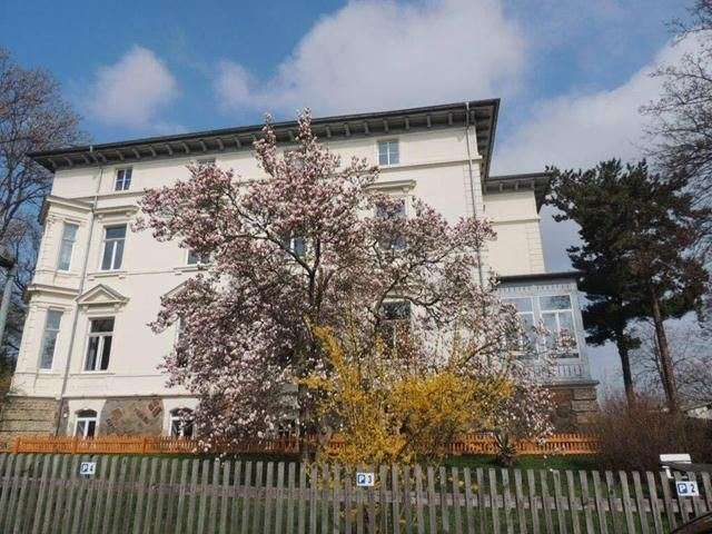 Etagenwohnung Werdau Werdau, Stadt - 2 Zimmer, 48 m&sup2;, 238&euro; | Angebot:26963679