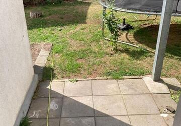 Wohnung Zwickau Zwickau-West - 2 Zimmer, 53 m&sup2;, 350&euro; | Angebot:26165739